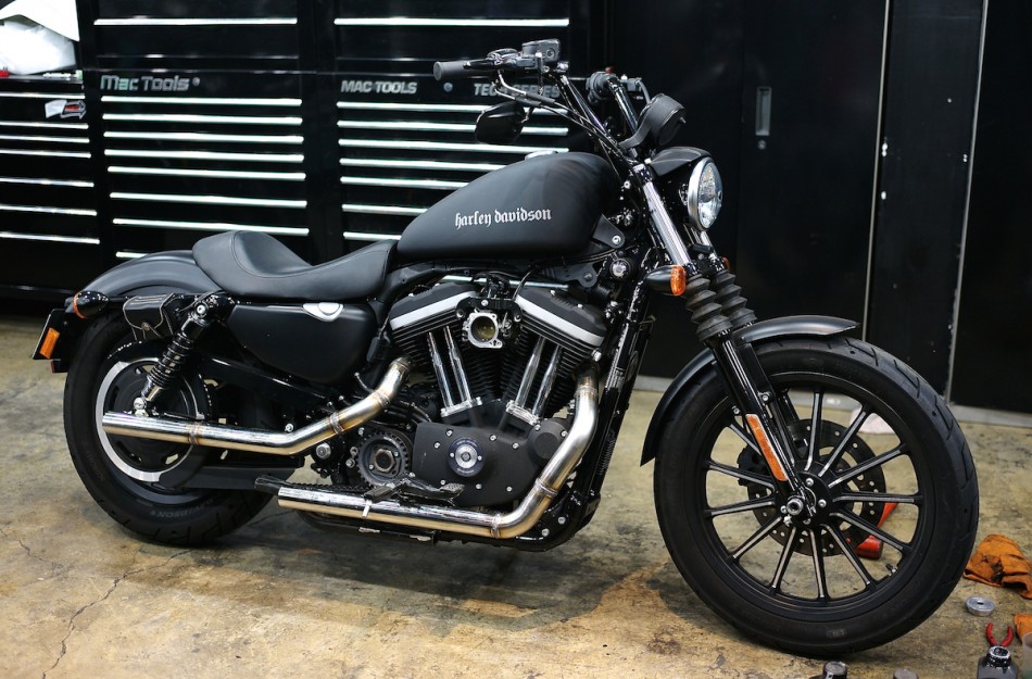 sportster