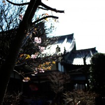 20140226kamakura