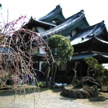 20140226kamakura