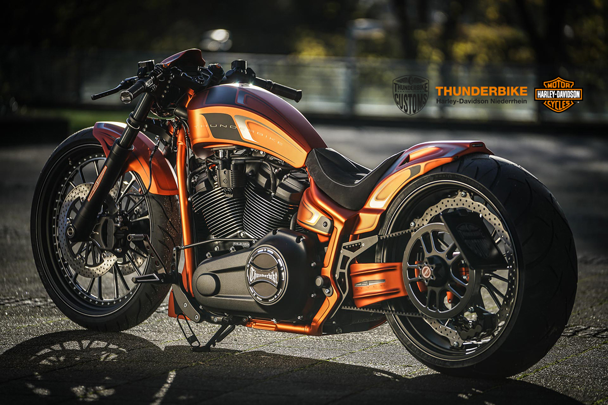 正規品）Thunder Bike その他ハーレー キャリパー Bremsanker Springer 6-Kolben サンダーバイク バイク  通販